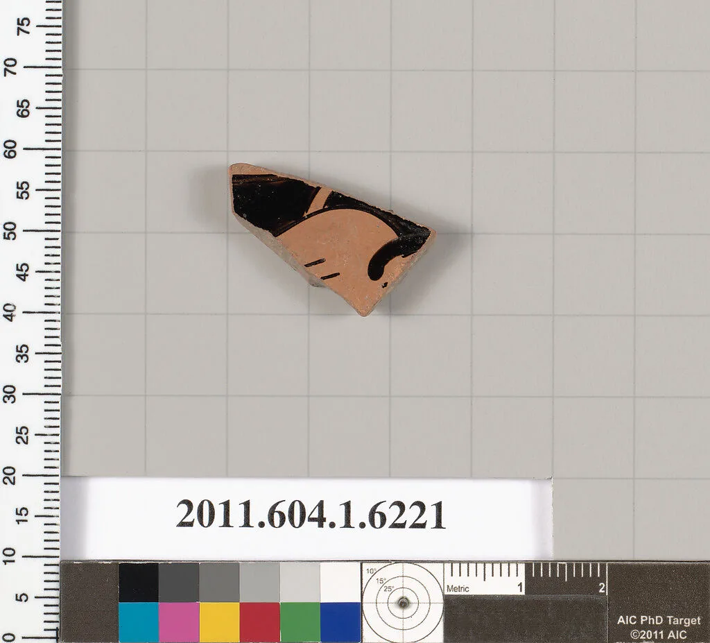 Terracotta fragment of a kylix (drinking cup) — Unknown