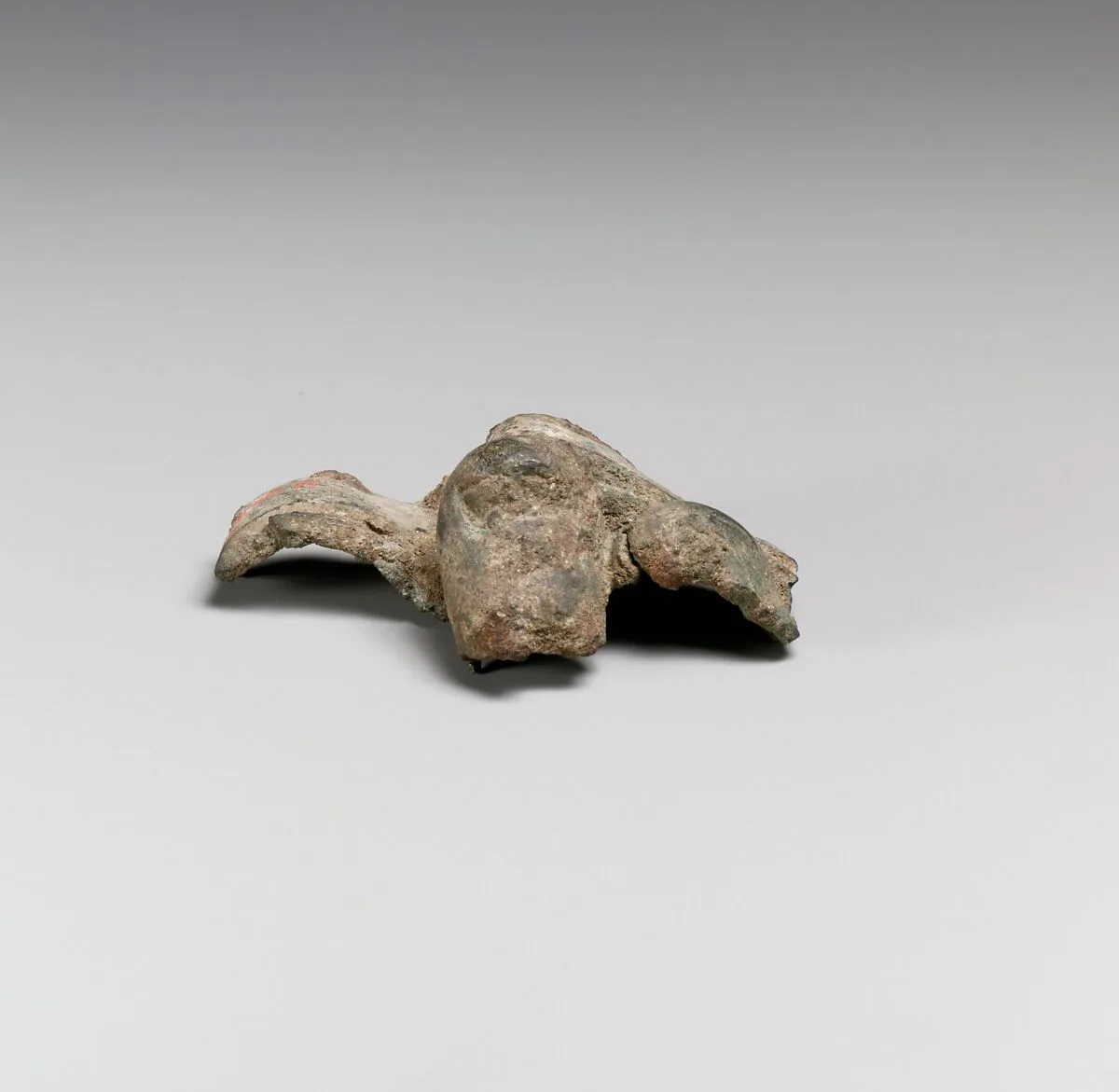 Foot (toes) fragment — Unknown