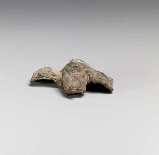 Foot (toes) fragment