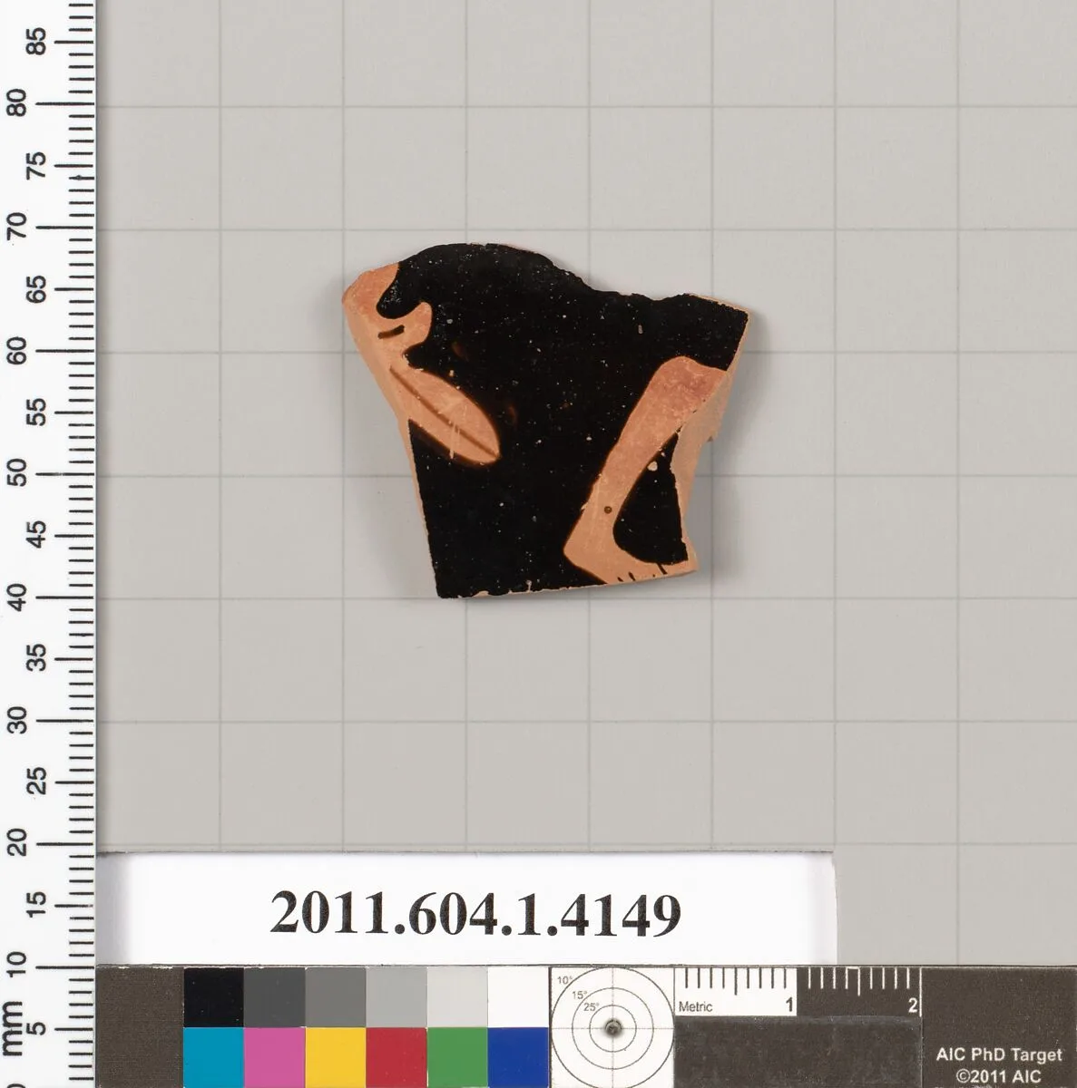 Terracotta fragment of a kylix (drinking cup) — Unknown