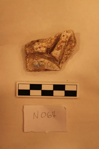 Stucco Fragment