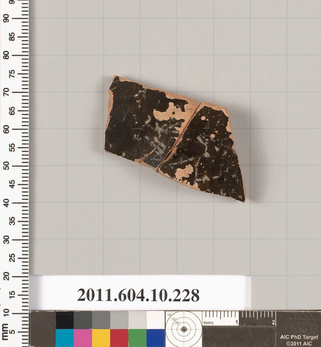 Terracotta fragment of a closed shape — Unknown