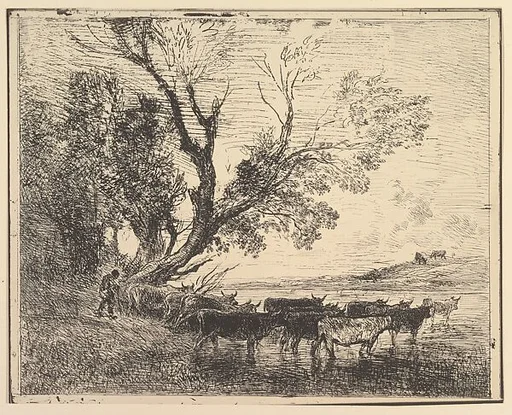 Cattle Crossing at the Ford