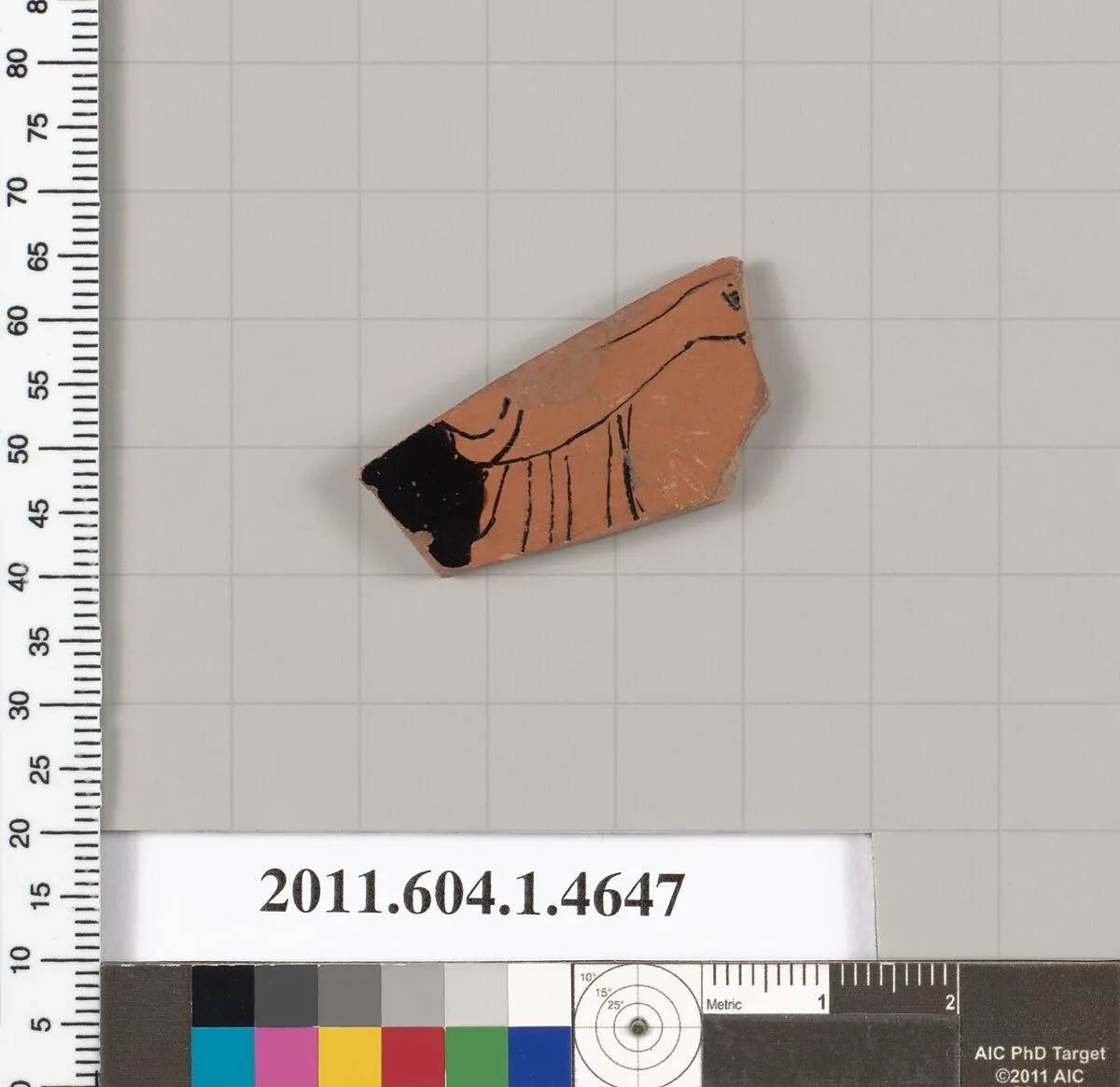 Terracotta fragment of a kylix (drinking cup) — Unknown