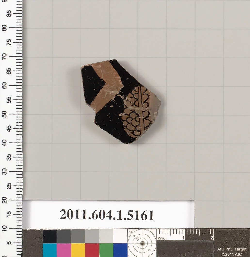 Terracotta fragment of a kylix (drinking cup) — Unknown