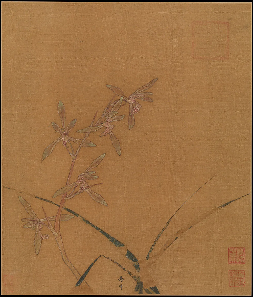 南宋 馬麟 蘭花圖 冊頁 絹本|Orchids — Ma Lin