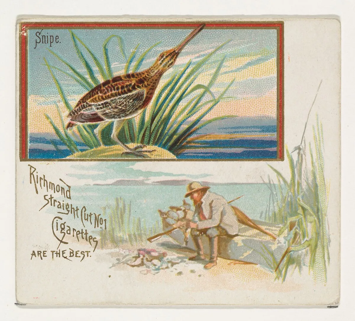 Snipe, from the Game Birds series (N40) for Allen & Ginter Cigarettes — Allen & Ginter