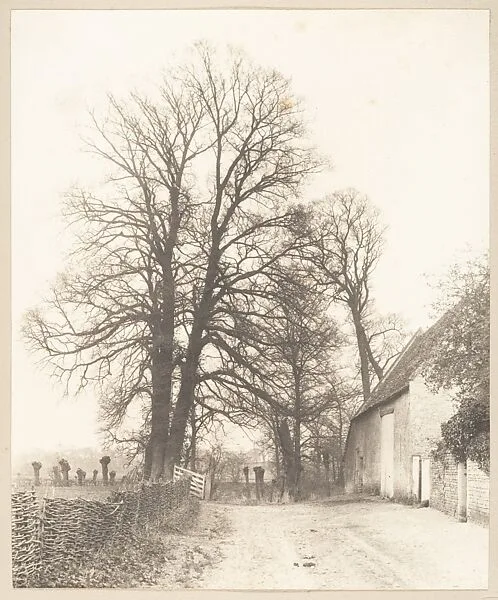 Entrance, On Right — Sir Sydney Cockerell|Frederick H. Evans|Unknown|Aubrey Vincent Beardsley|Frederick Colin Tilney|Ernest Radford|Theodore Watts-Dunton