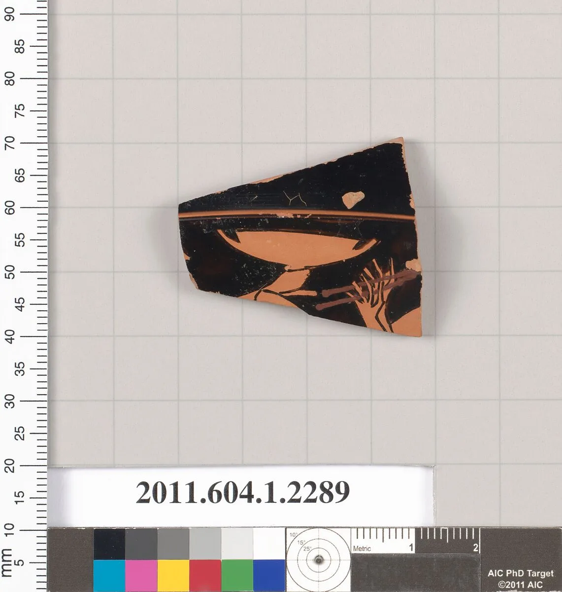 Terracotta fragment of a kylix (drinking cup) — Unknown