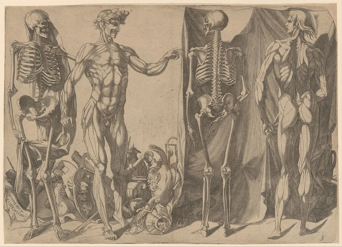 Two Flayed Men and Their Skeletons — Domenico del Barbiere