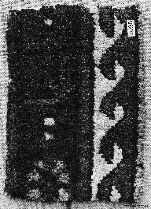 Carpet Fragment — Unknown