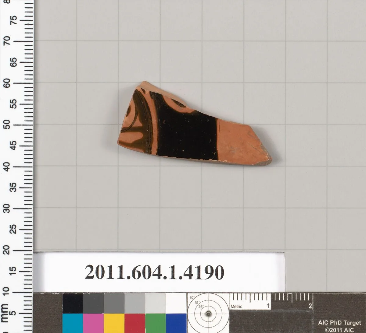 Terracotta fragment of a kylix (drinking cup) — Unknown