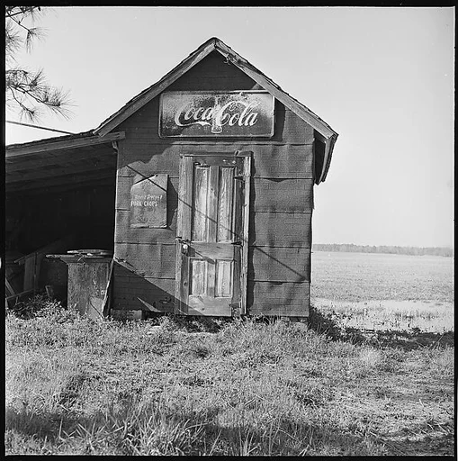 [12 Views of Shack with Coca-Cola Sign, from Yale School of Art Field Trip to Eastern Shore of Virginia]