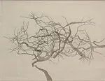Study for "Maelstrom" — Roxy Paine