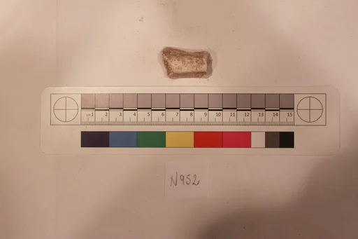 Stucco Fragment