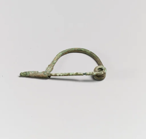 Fibula