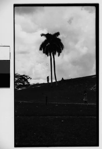 [Children on Hillside, Cuba]