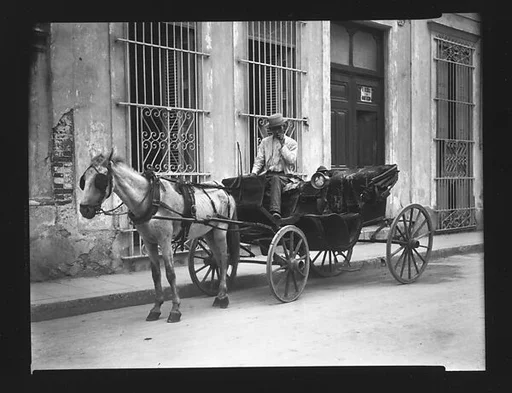 [Horse-Drawn Carriage and Driver, Havana]