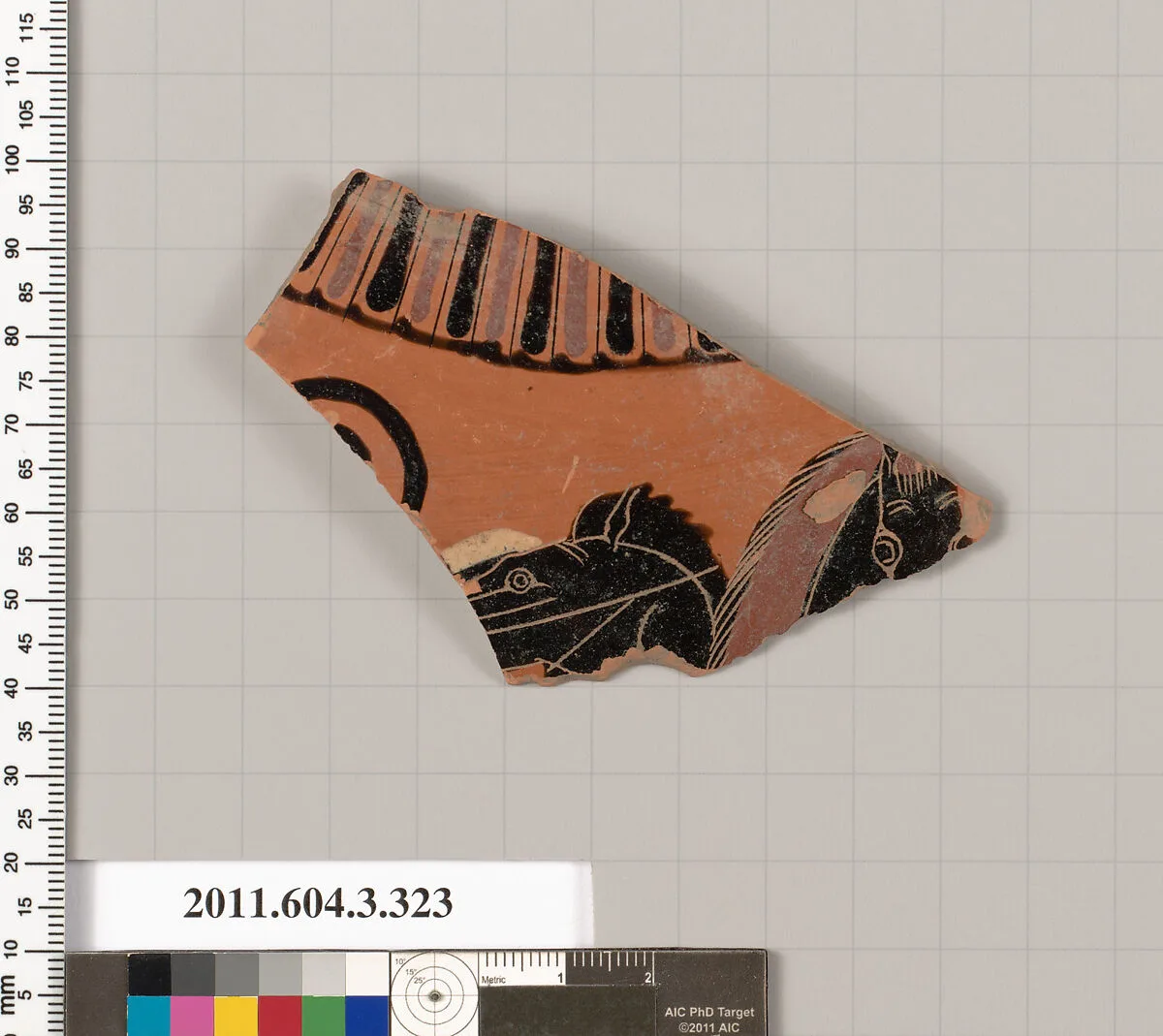 Terracotta fragment of a neck-amphora (jar) — Unknown