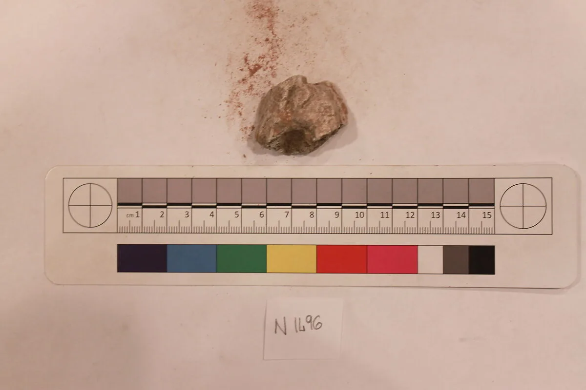 Stucco Fragment — Unknown