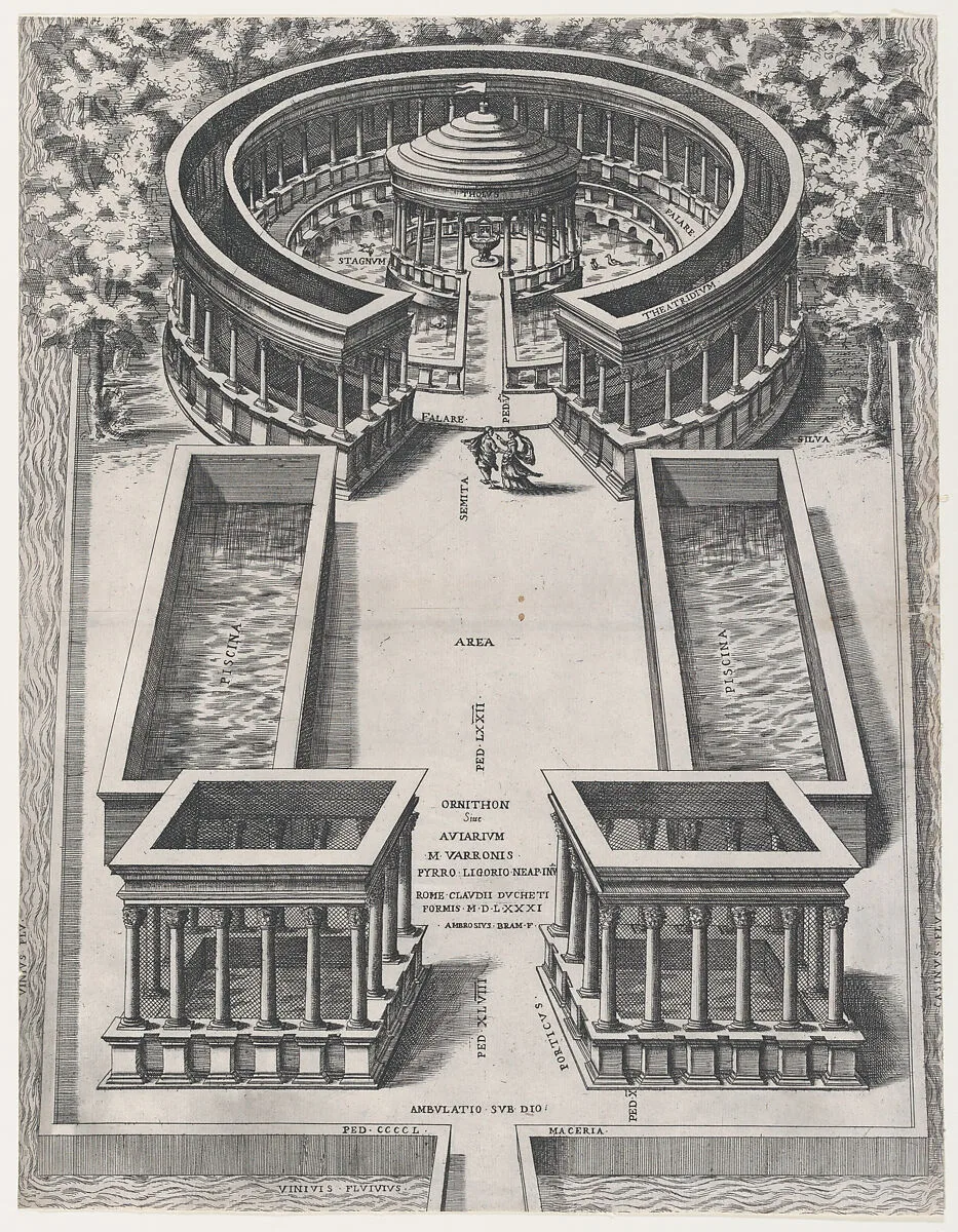Speculum Romanae Magnificentiae: Ornithon Sive Aviarum — Pirro Ligorio|Giovanni Ambrogio Brambilla|Claudio Duchetti