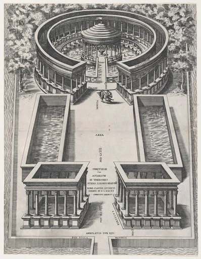 Speculum Romanae Magnificentiae: Ornithon Sive Aviarum