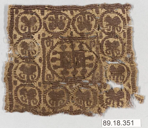 Textile Fragment