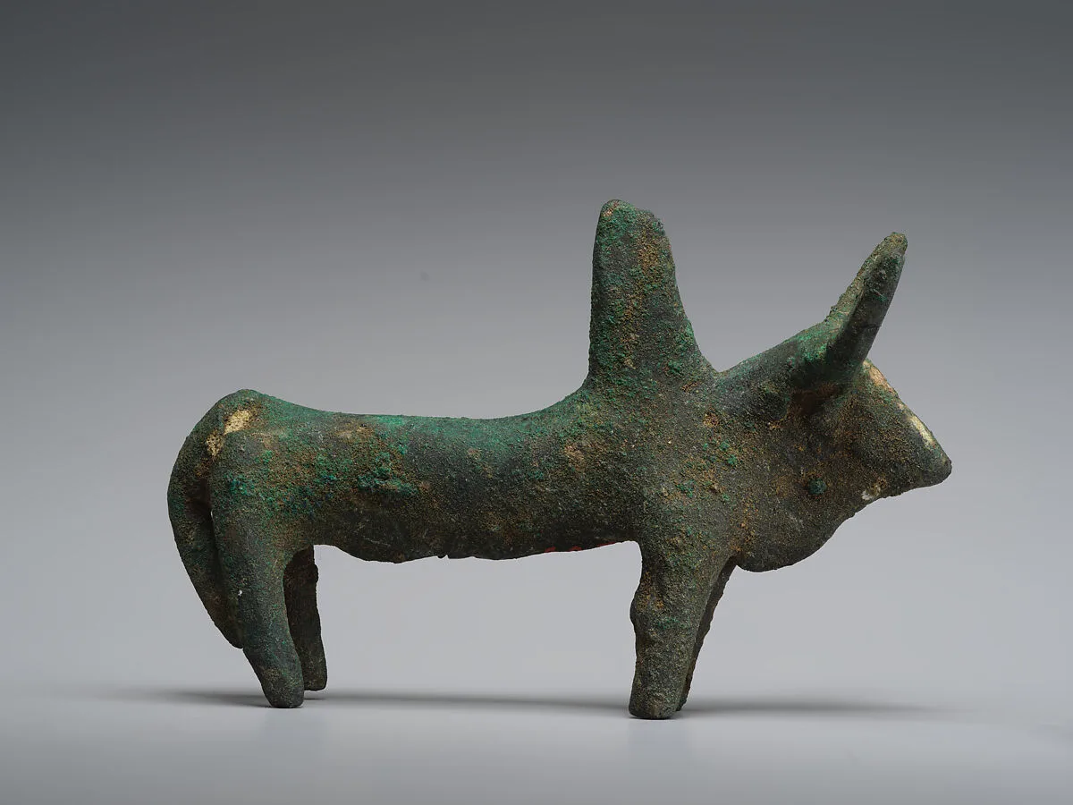 Zebu — Unknown
