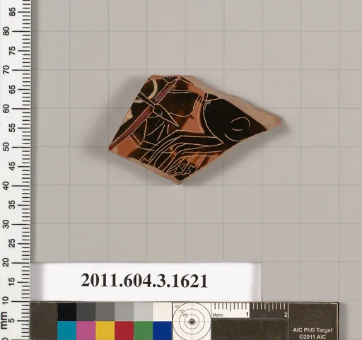 Terracotta fragment of a kylix: Band cup (drinking cup)