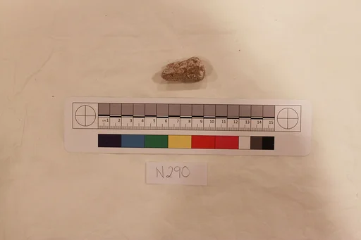 Stucco Fragment
