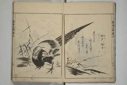 画本必用|A Picture Book on the Study of Paintings (Ehon hitsuryō) 画本必用