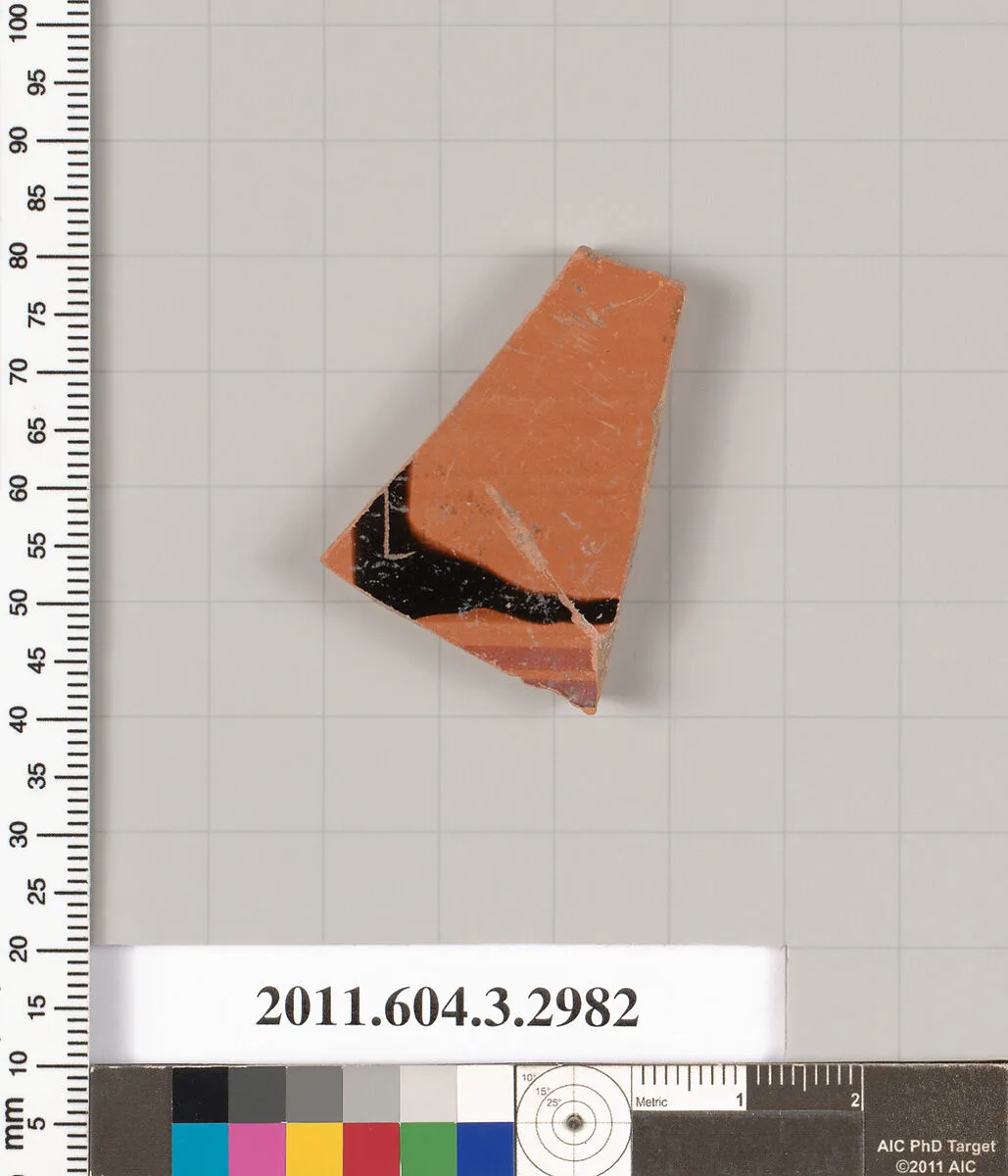 Terracotta fragment of an amphora (jar)? — Unknown