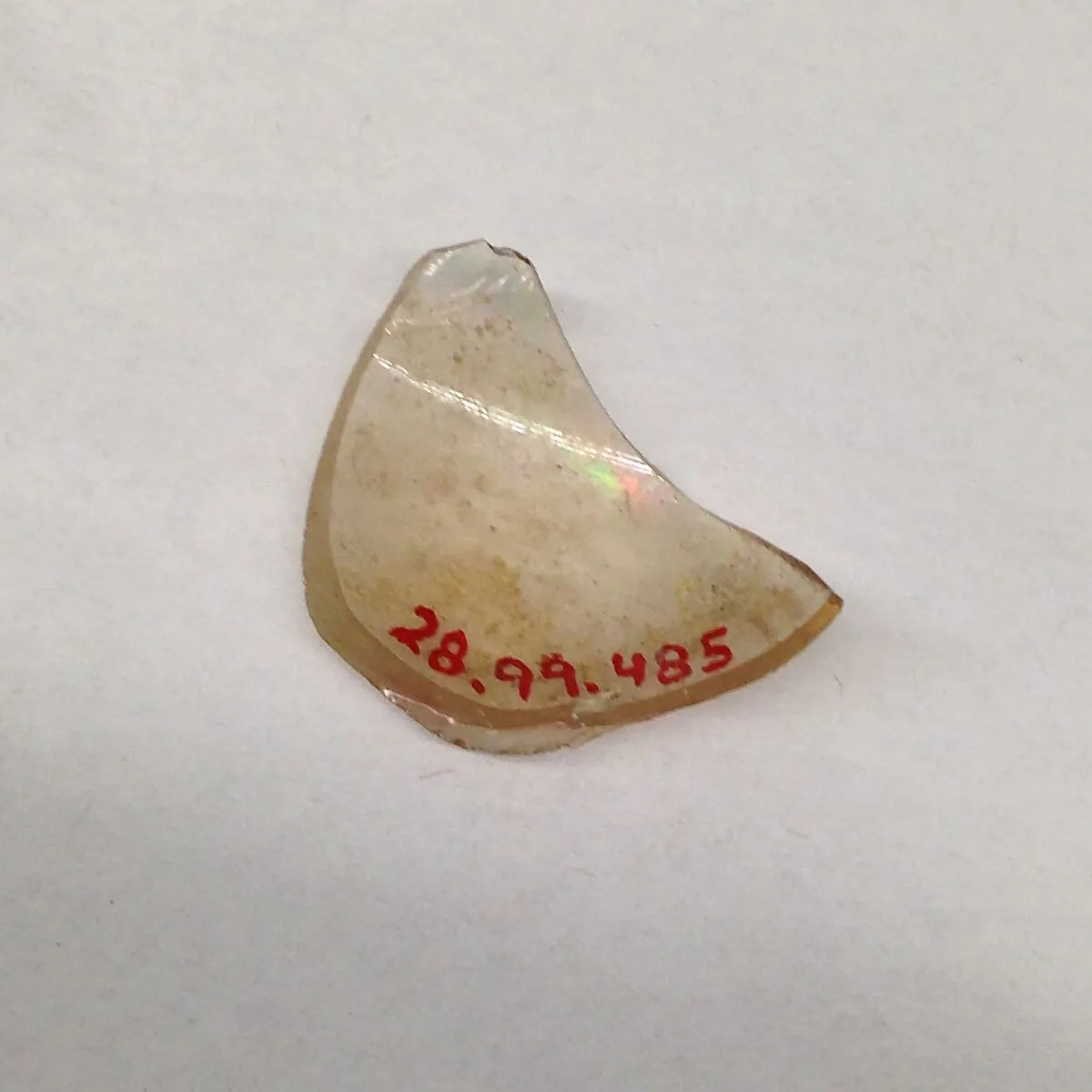 Fragment — Unknown