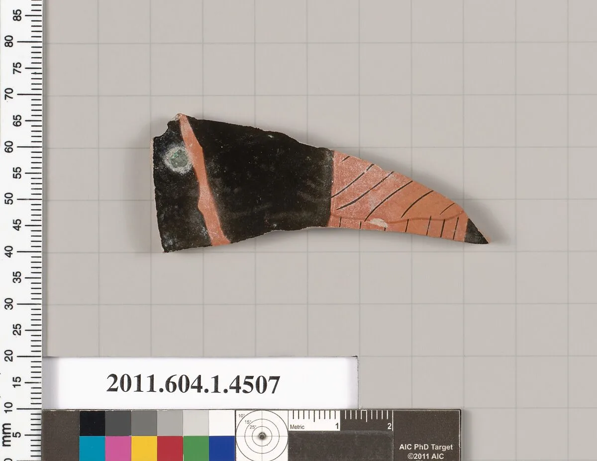Terracotta fragment of a kylix (drinking cup) — Unknown