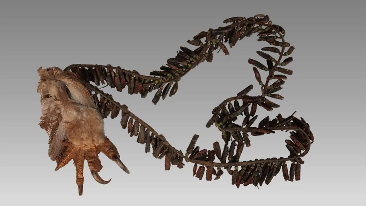 Dew Claw Rattle — Unknown