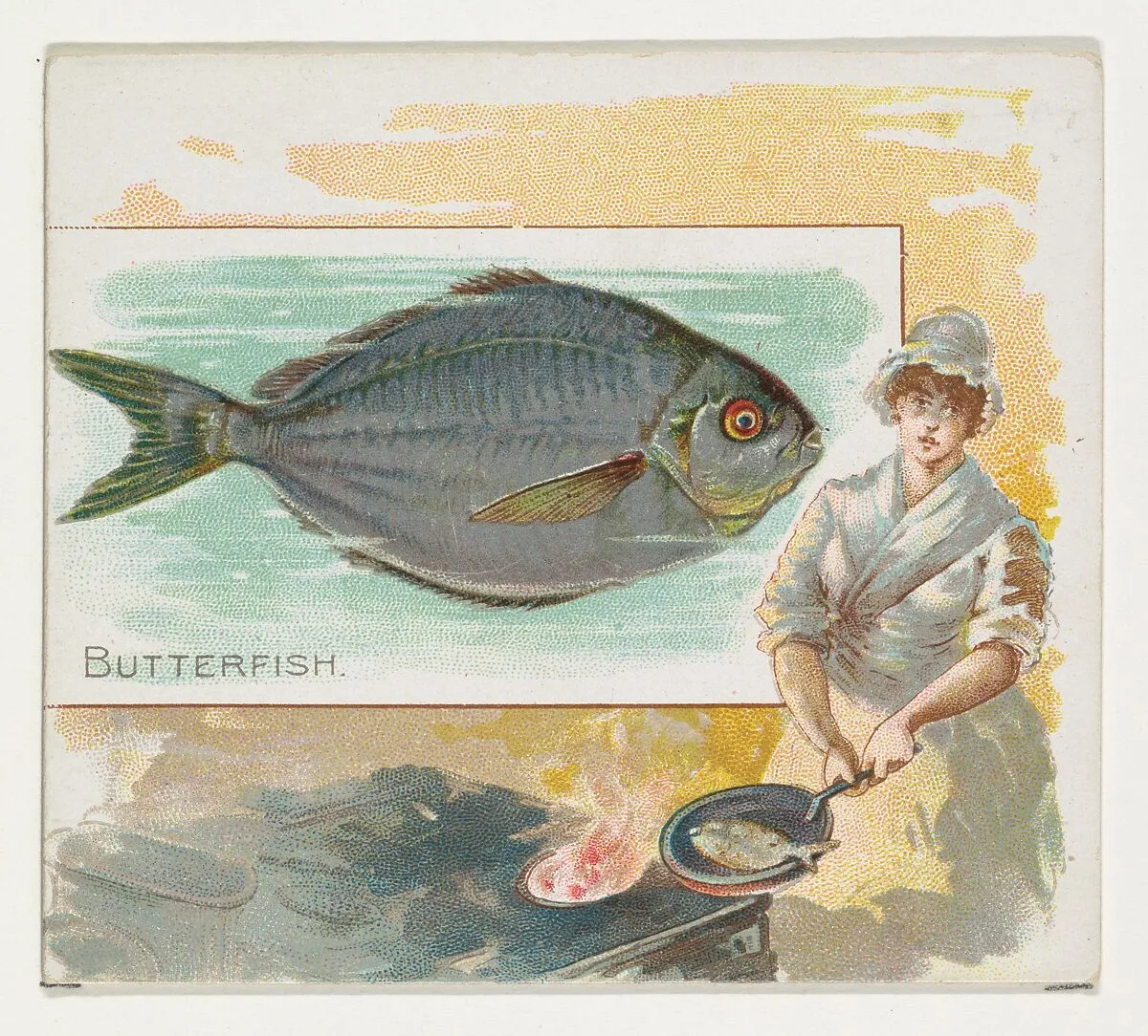 Butterfish, from Fish from American Waters series (N39) for Allen & Ginter Cigarettes — Allen & Ginter|Lindner, Eddy & Claus
