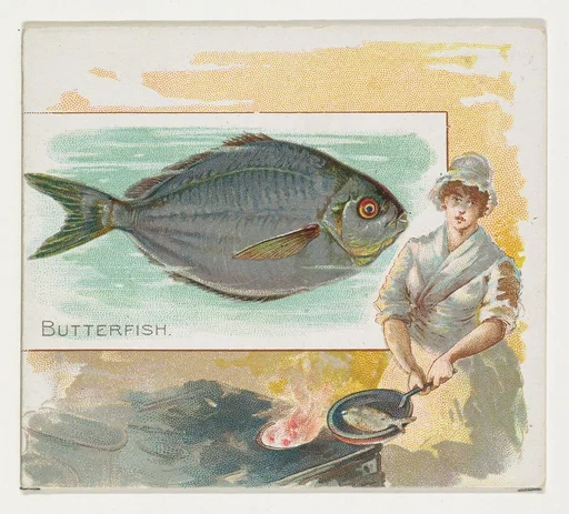 Butterfish, from Fish from American Waters series (N39) for Allen & Ginter Cigarettes