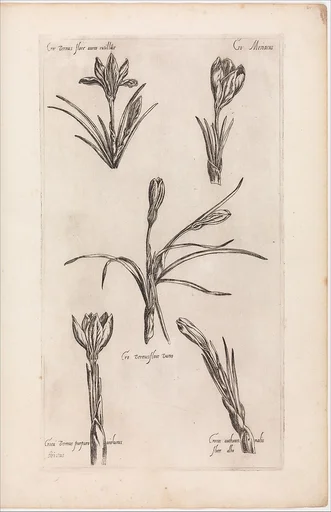 Le Jardin du Roy tres Chrestien Henry IV roy de France et de Navare