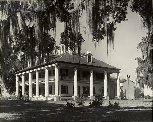Beneath the Rain of the Moss, No. 2 — Clarence John Laughlin