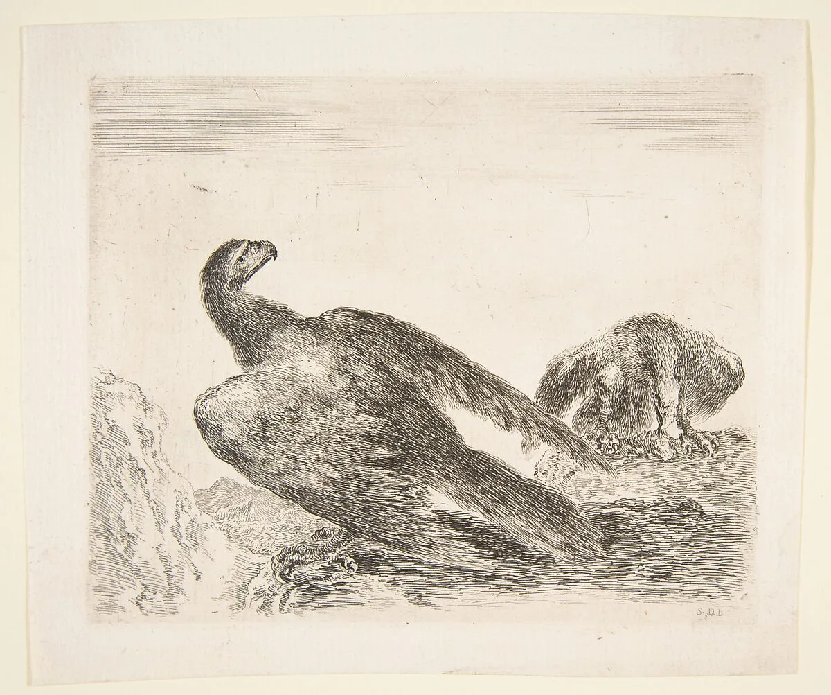 Two eagles, one with prey, from 'Eagles' (Les aigles) — Stefano della Bella