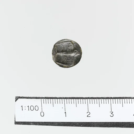 Seal, lentoid