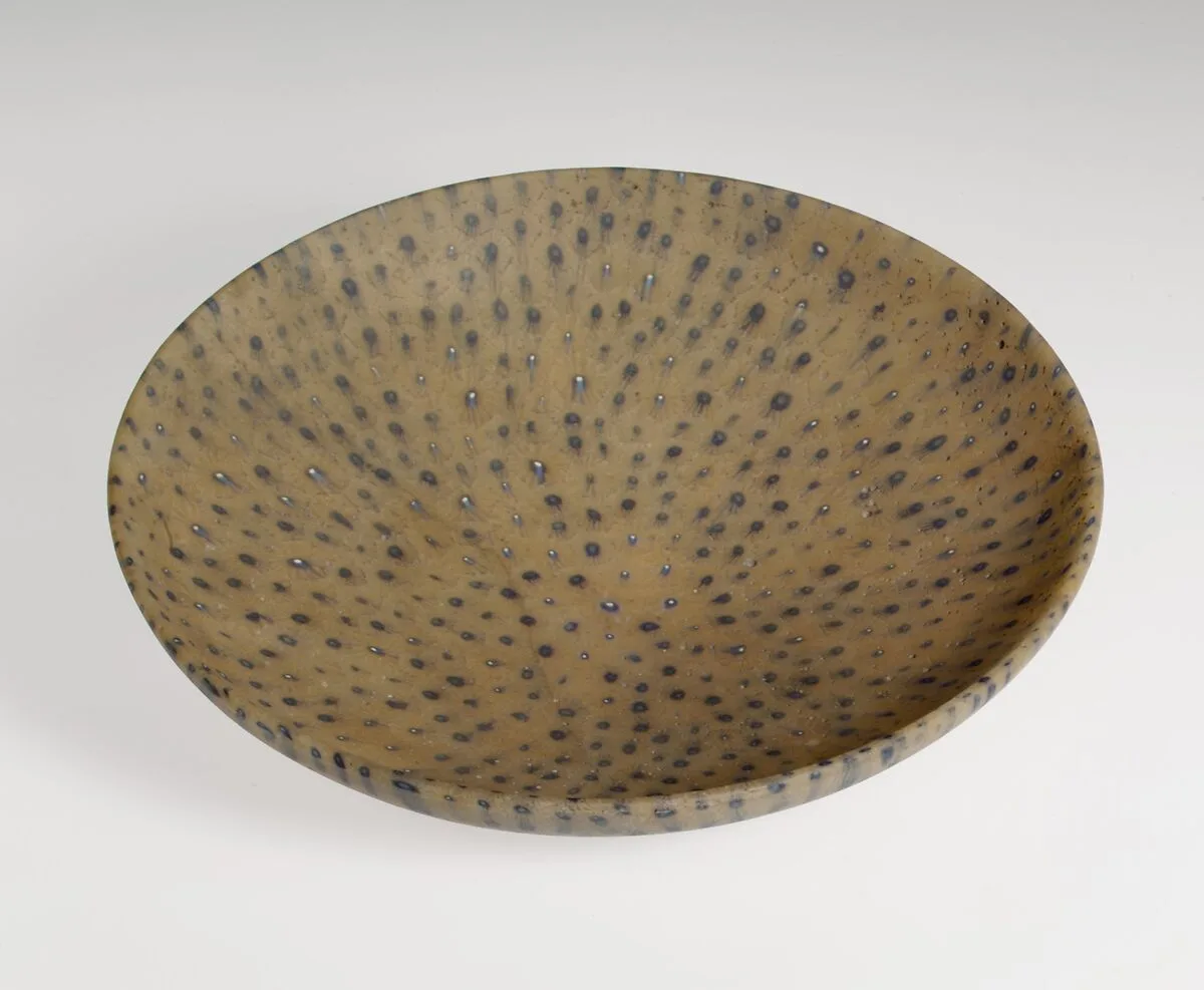 Dish — Unknown