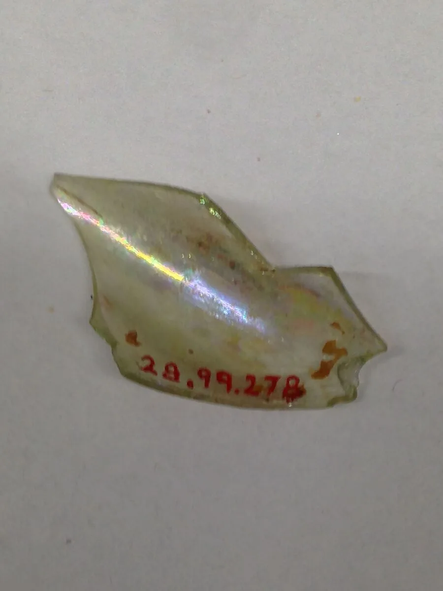 Fragment — Unknown