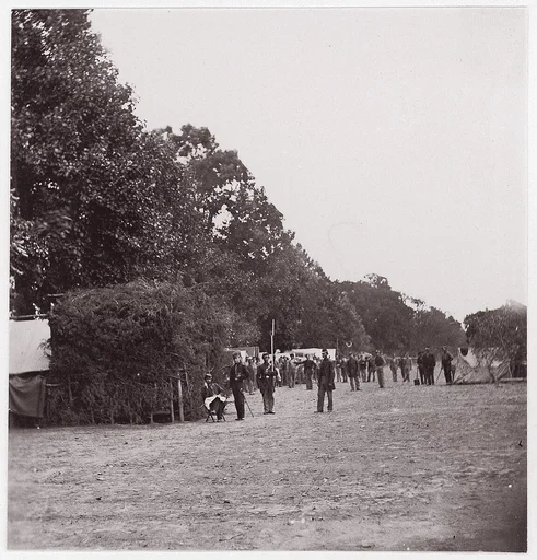 [Encampment alongside a stand of trees].  Brady album, p. 123