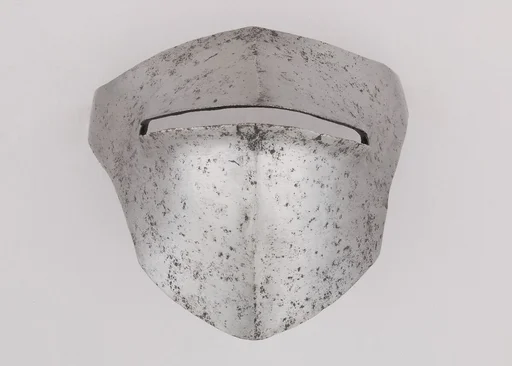 Visor for a Bascinet