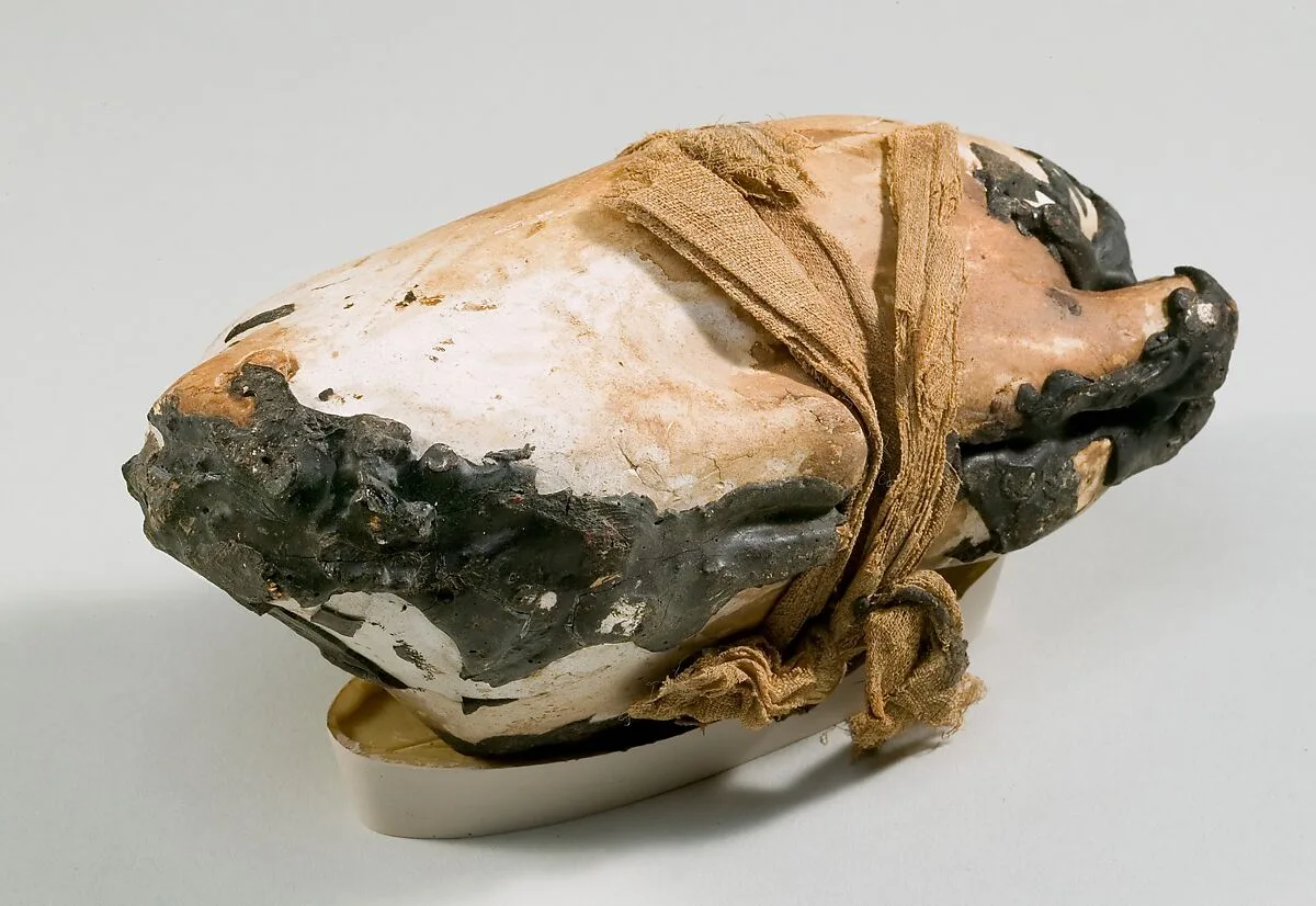 Food Case Probably Containing a Preserved Pigeon — Unknown