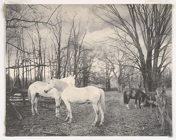 Landscape with Horses — John Chislett