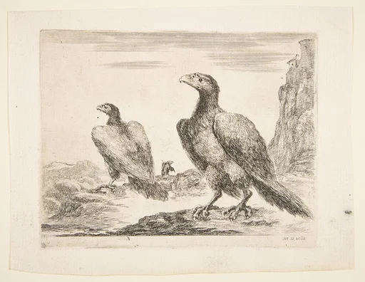 Two eagles, from 'Eagles' (Les aigles)
