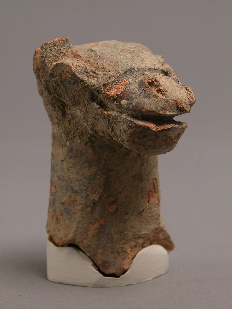 Head of Camel — Unknown