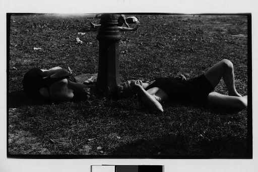 [Bathers Asleep on Grass in the Bronx, New York City]